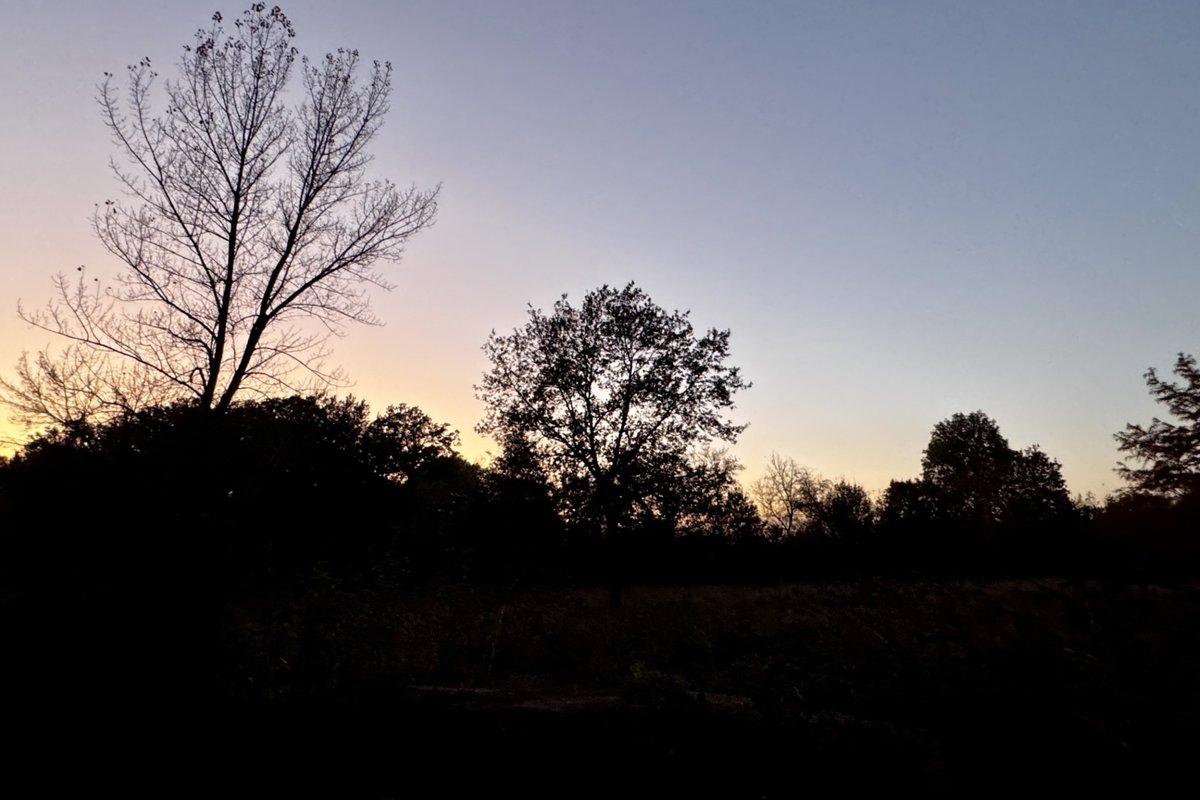 Titelbild für Beitrag: Es ist Herbst