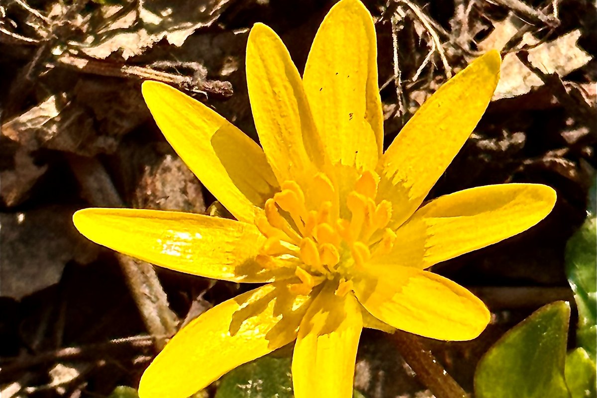 Titelbild für Beitrag: Gesegnete, frohe Ostern!